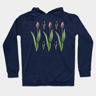 Tulipa  &#39;Pretty Princess&#39; Triumph Group  Tulip Hoodie